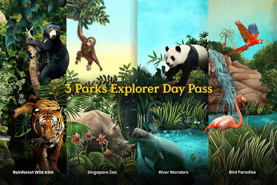 3 Parks Explorer Day Pass