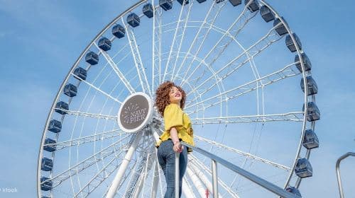 Navy Pier Centennial Wheel: Entry Ticket
