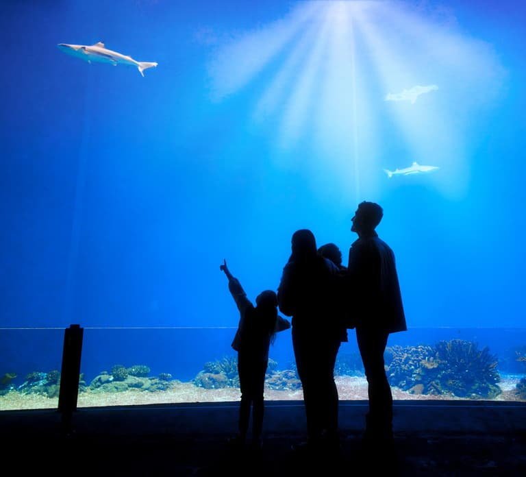 Arnhem: Burgers' Zoo Entry Ticket