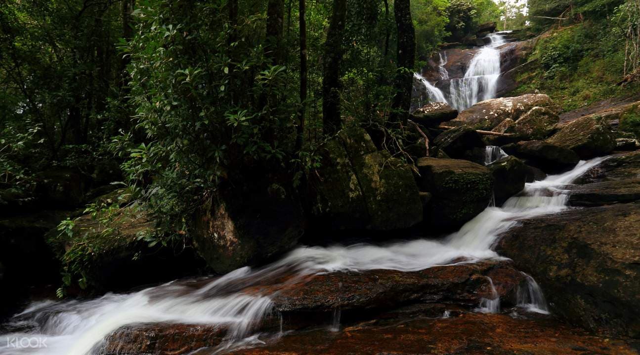 Sinharaja Rainforest Day Trek from Colombo