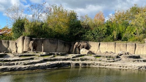 Wildlands Adventure Zoo Emmen