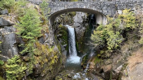 Mt. Rainier Tour and Guided Hike Day Tours