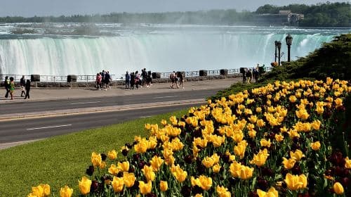 Niagara Falls and Niagara-on-the-Lake Day Tour from Toronto Day Tours