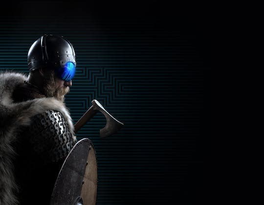 The Viking planet experience