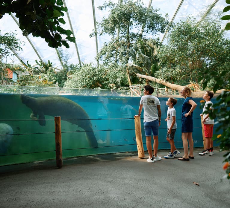 Arnhem: Burgers' Zoo Entry Ticket