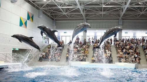Kagoshima City Aquarium