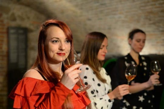 Culinary Day Trip to Bratislava from Vienna