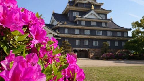 Okayama Castle