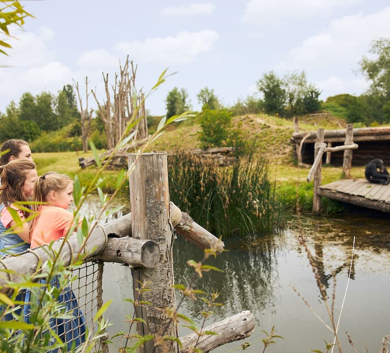 Eindhoven Zoo Entry Ticket