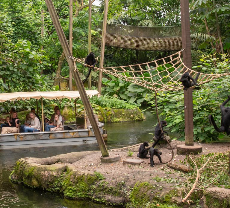 Emmen: Wildlands Adventure Zoo and Rimbula River Boat Ride