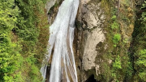 Guided forest hike to Seattle waterfalls incl. Snoqualmie Falls Day Tours