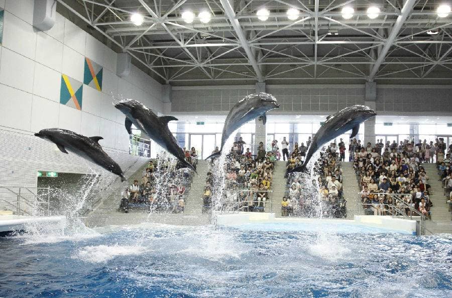 Kagoshima Aquarium