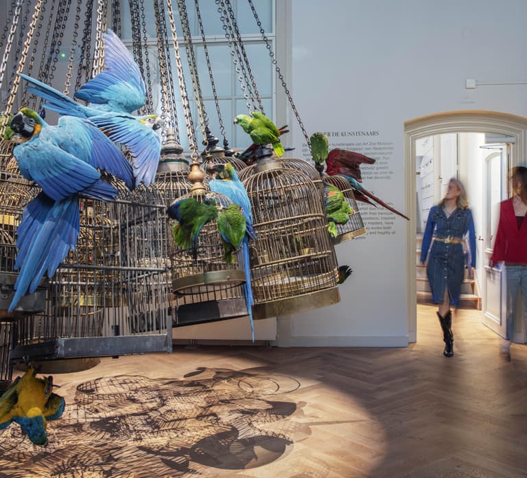 Art Zoo Museum: Art meets nature in a 17th-Century House