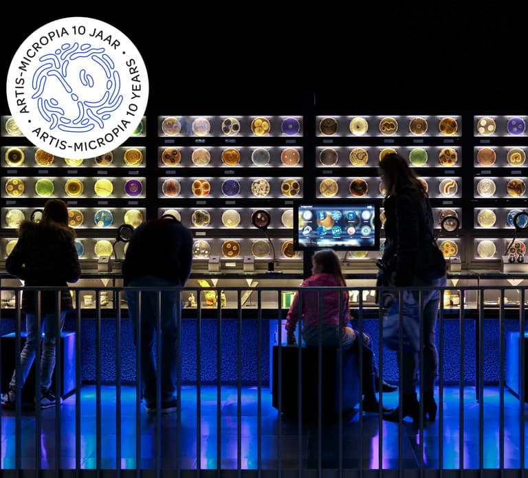 Amsterdam: Artis Royal Zoo & ARTIS-Micropia Combo Ticket