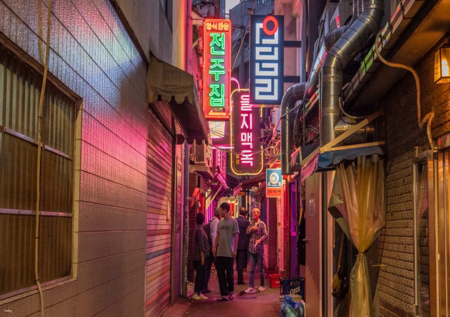 Seoul Walking Tour | Euljiro food tour with guide (Night)