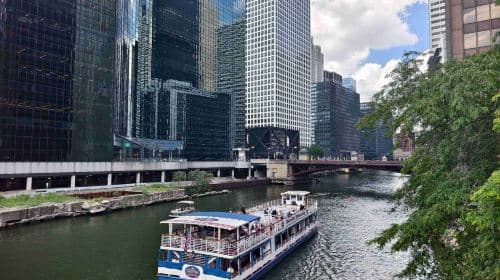 Shoreline Sightseeing