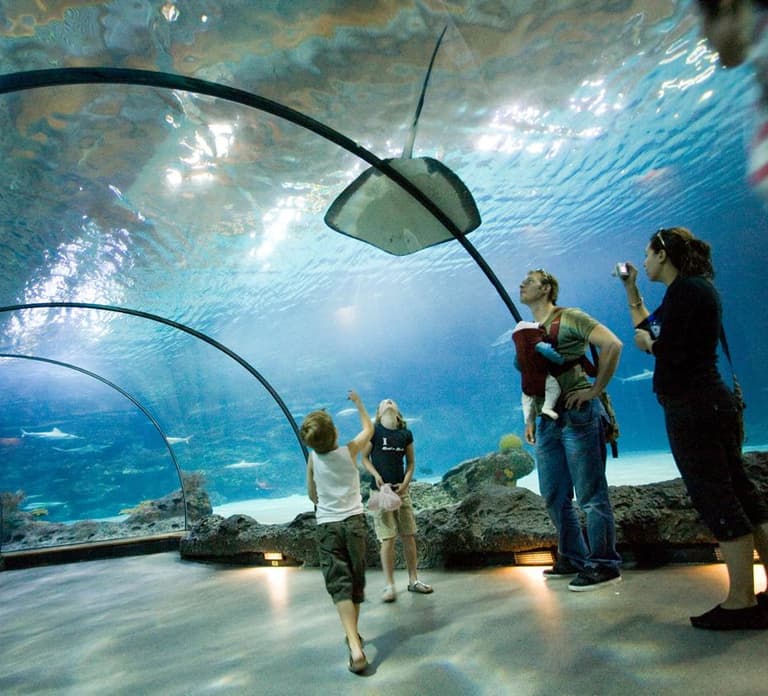 Rotterdam: Rotterdam Zoo Blijdorp Entry Ticket