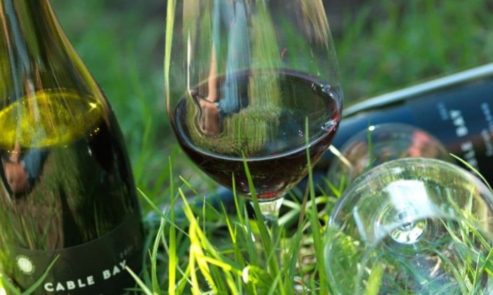 Taste of Waiheke Food and Wine Tour