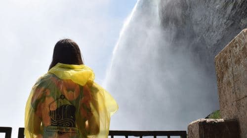 Niagara Falls Tour with Skip the Line Cruise & Maple Tasting Day Tours