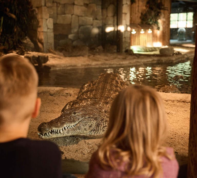 Leewarden: AquaZoo Entry Ticket