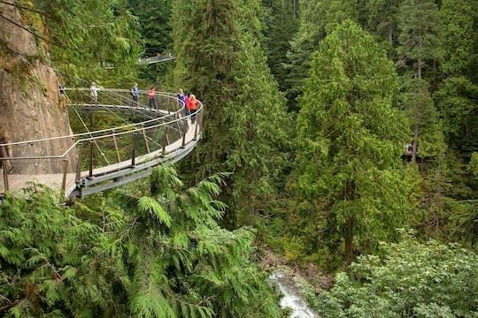 Grouse Mountain and Capilano Suspension Bridge Park Tour