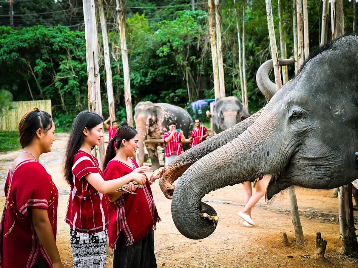 Kerchor Elephant Family Phuket