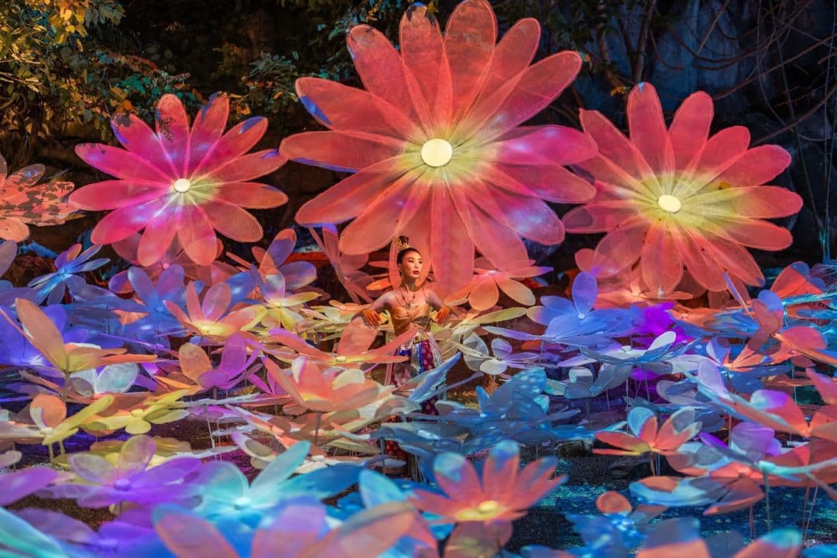 Nasatta Light Festival