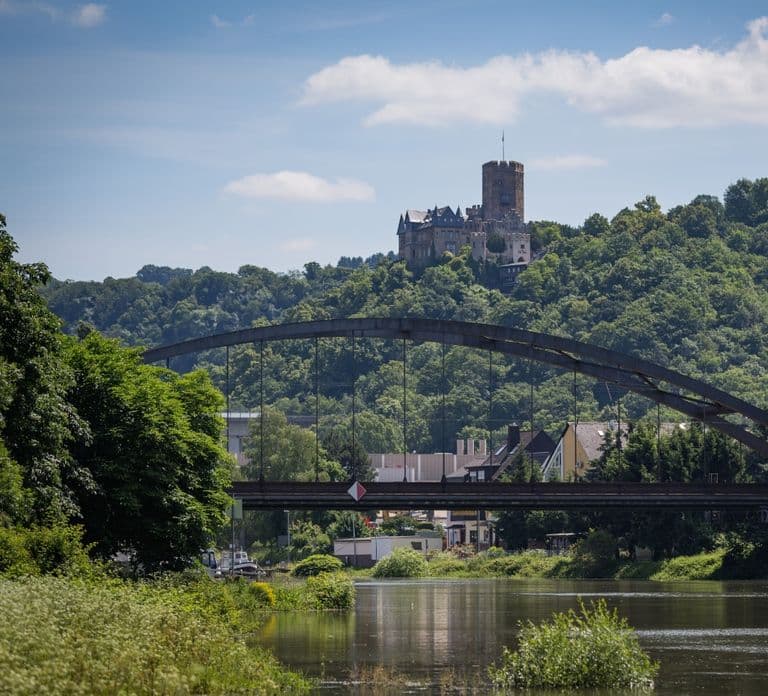 Koblenz: Rhine Valley Castle Sightseeing Cruise