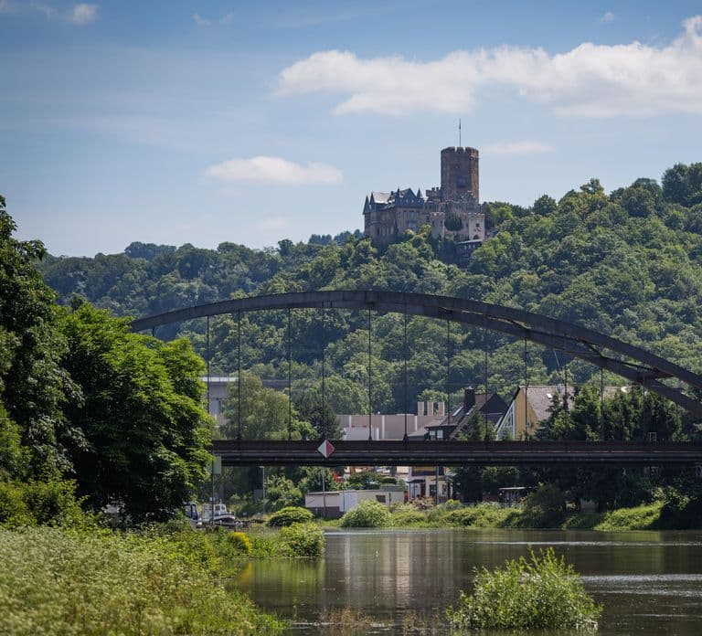 Koblenz: Rhine Valley Castles and Palaces Boat Tour