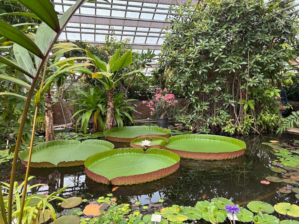 Hortus Botanicus Leiden: Skip The Line Ticket Child