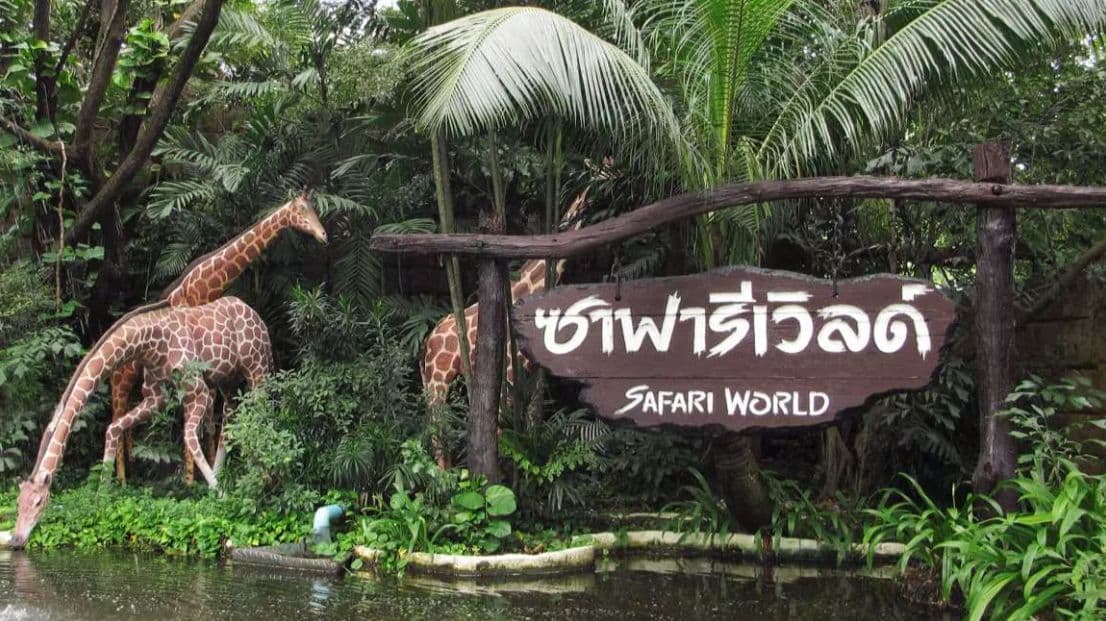 Safari World Bangkok Include Share Transfers Service Tour Meet-up location MBK Center, Asoke (Get Special Privileges at MBK Center)
