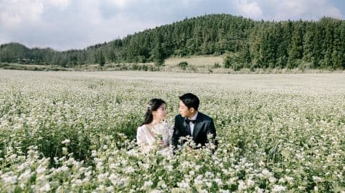 The Hague travel photography in the Netherlands[Driver-guide + travel photography + aerial photography + wedding photography + short film + makeup + costumes + customized private charter + local guide