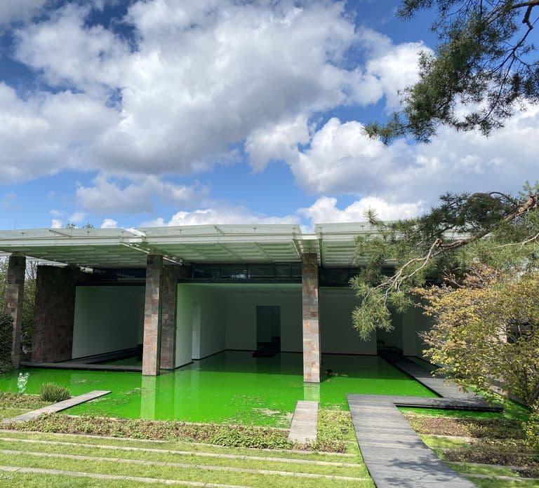 Basel: Private Walking Tour with a Local Guide