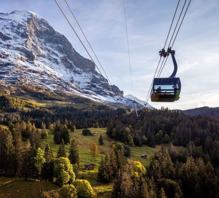 From Grindelwald: Ticket to Jungfraujoch - Top of Europe
