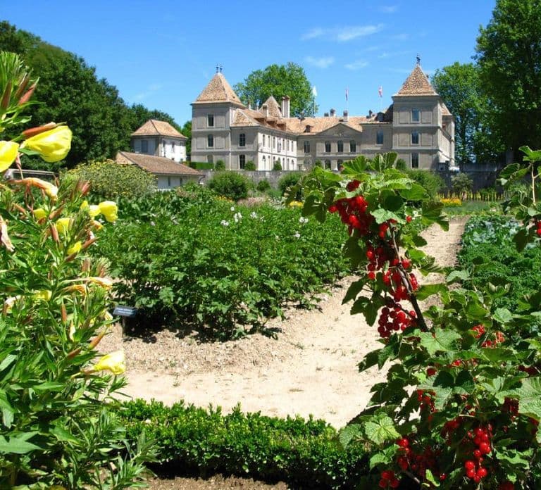Prangins, Lake Geneva: Château de Prangins Entry Ticket