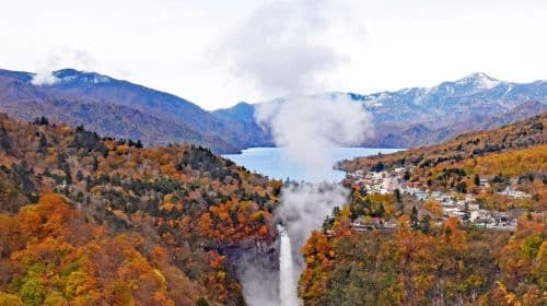 From Tokyo:Private Nikko World Heritage Site Day Tour by Car Day Tours