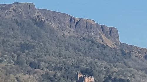 Belfast Eclectic Walking City Center Experience, The Marti Way