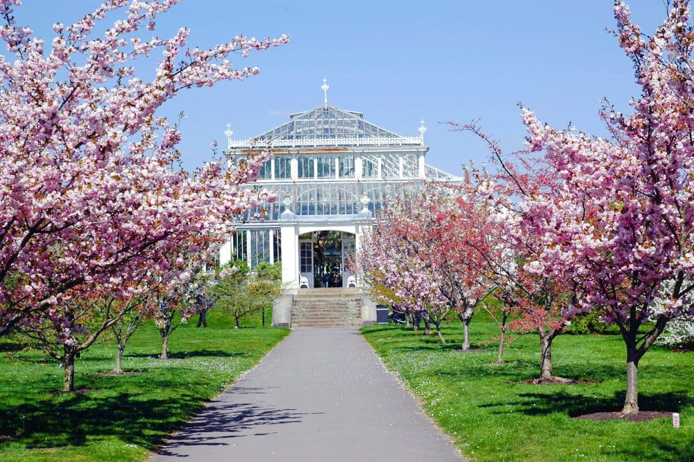 Royal Botanic Gardens, Kew