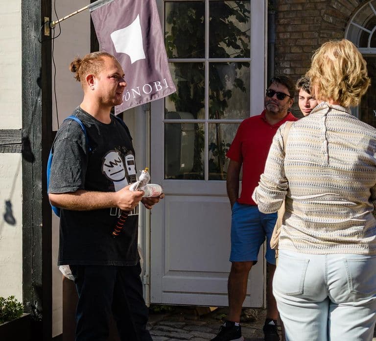 Aarhus Walking Tour: From Viking Village to Metropolis