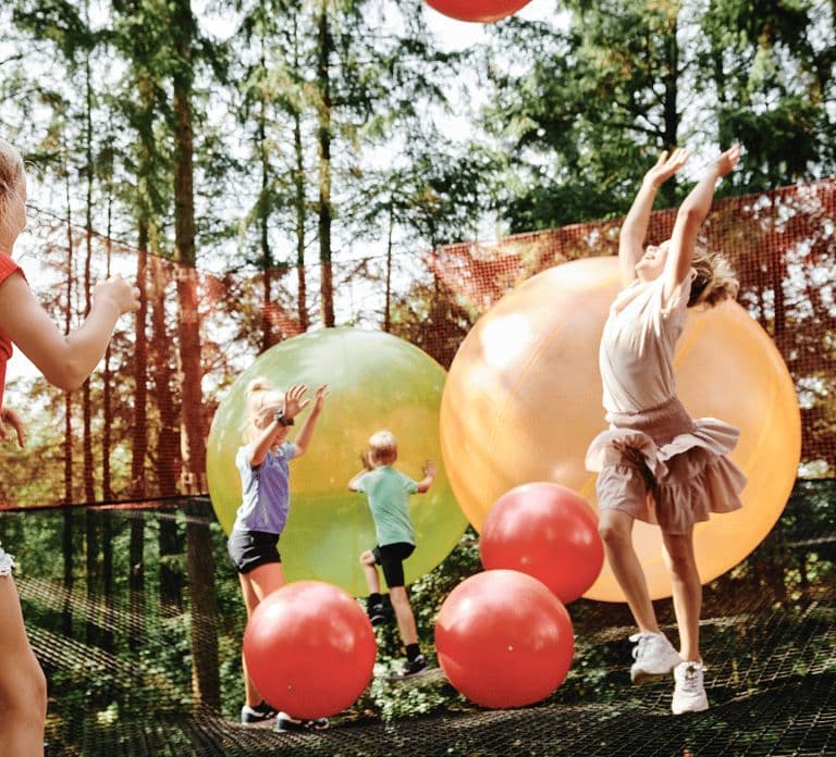 Billund: WOW PARK Entry Ticket