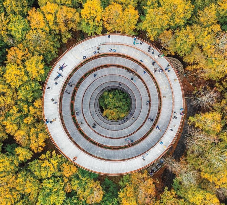 Copenhagen: The Forest Tower & Forgotten Giants Trolls Trip