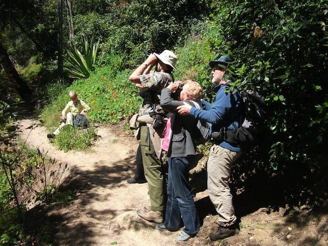 Birdwatching in Monchique Full-Day Tour
