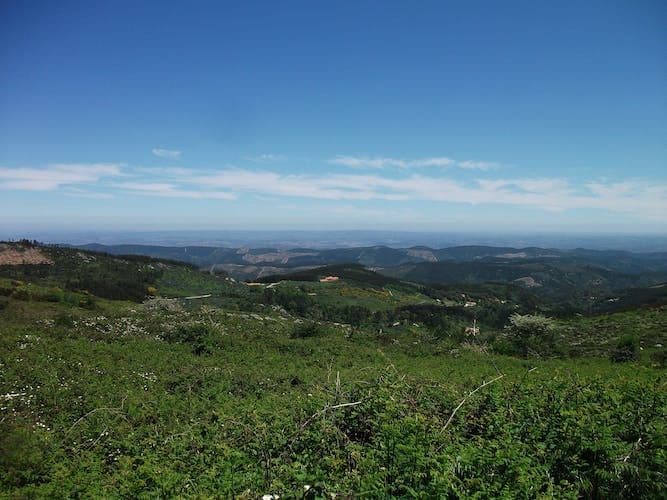 Birdwatching in Monchique Full-Day Tour