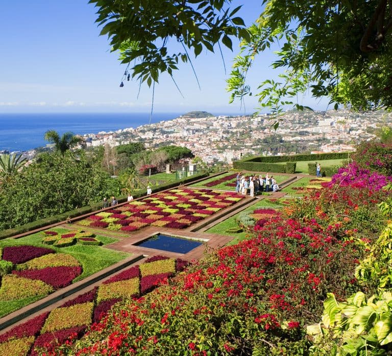 Funchal: Hop-On Hop-Off Bus Tour