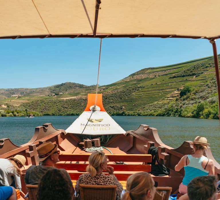 Porto: Douro Valley with Winery Lunch, Tastings & Cruise