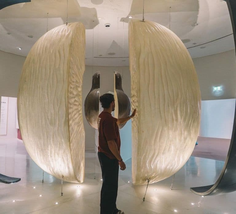 Porto: The Wine Experience, Best Wine Museum in the World