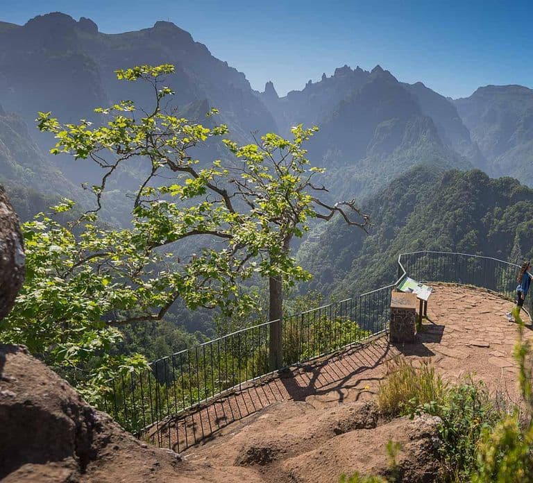 Madeira Funchal:East Tour Pico Arieiro & Santana&Laurissilva