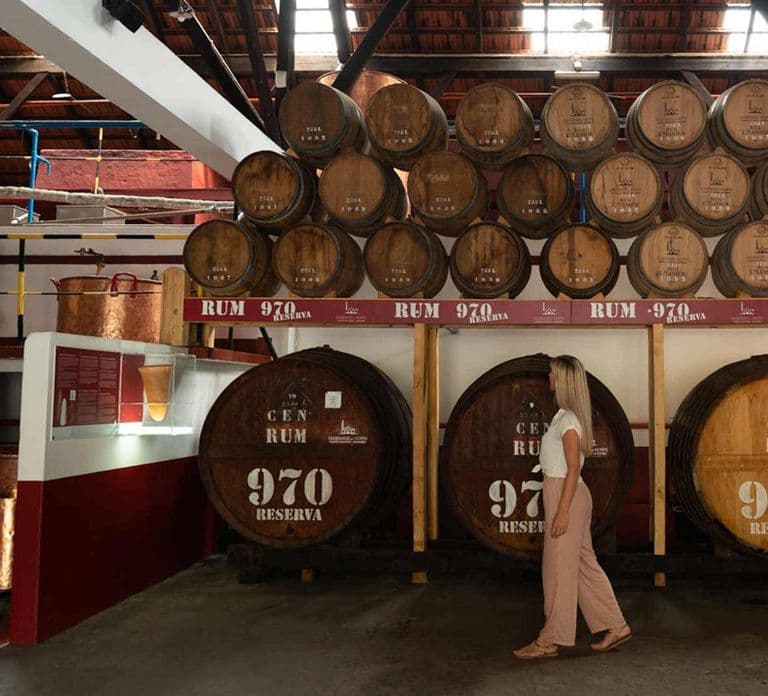 Madeira Funchal:East Tour Pico Arieiro & Santana&Laurissilva