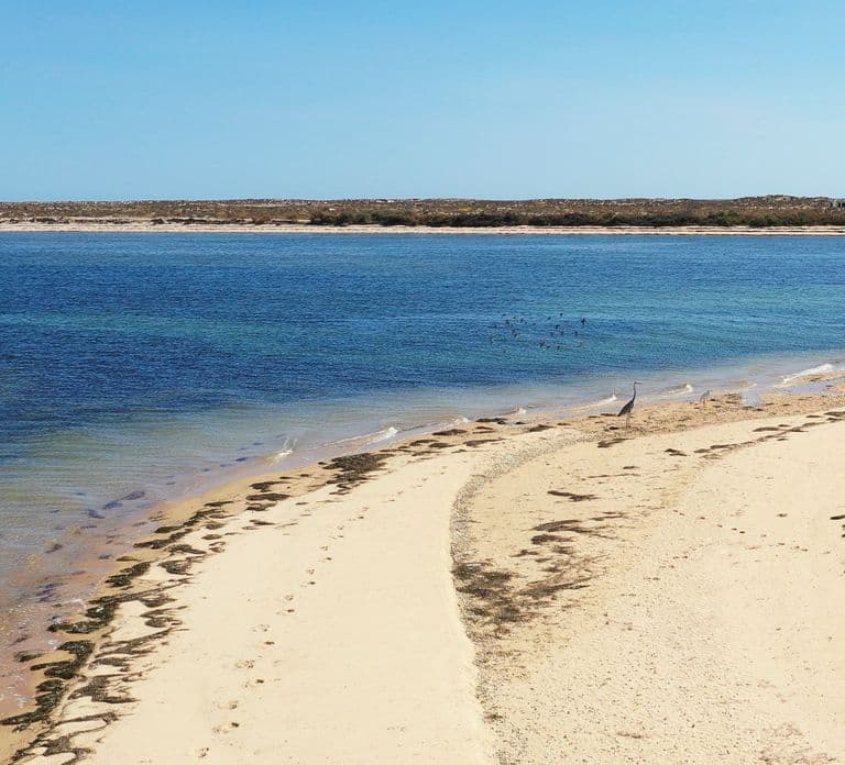 From Olhão: Ria Formosa 3-Island Full-Day Tour