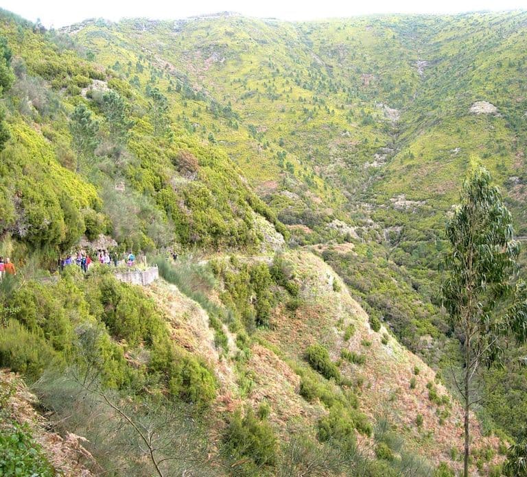 Rabaçal: 25 Fontes & Risco Levada Hiking Transfer